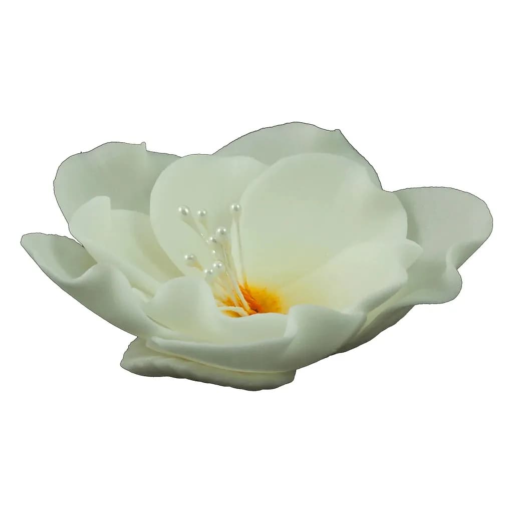 Eustoma 013 White 11 cm