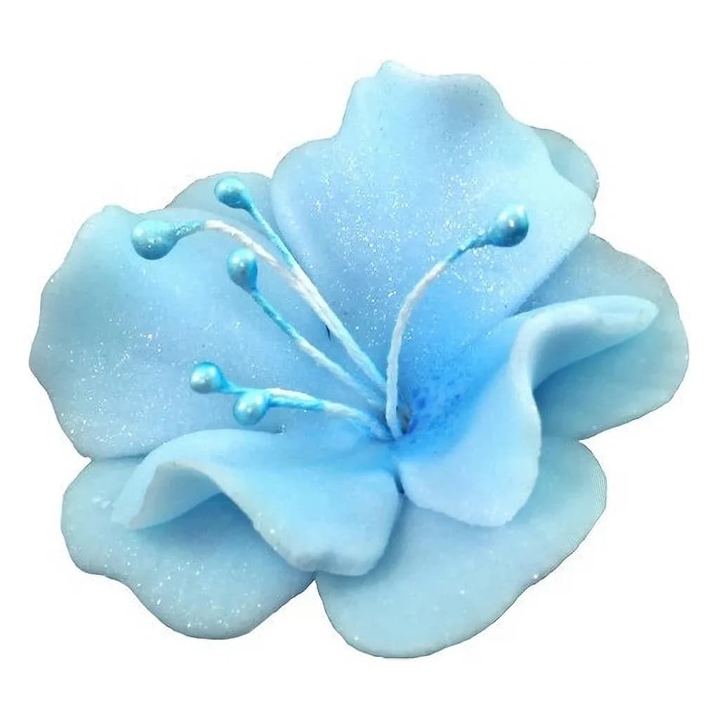 Magnolia 04m Blue 5.5 cm 10 pc