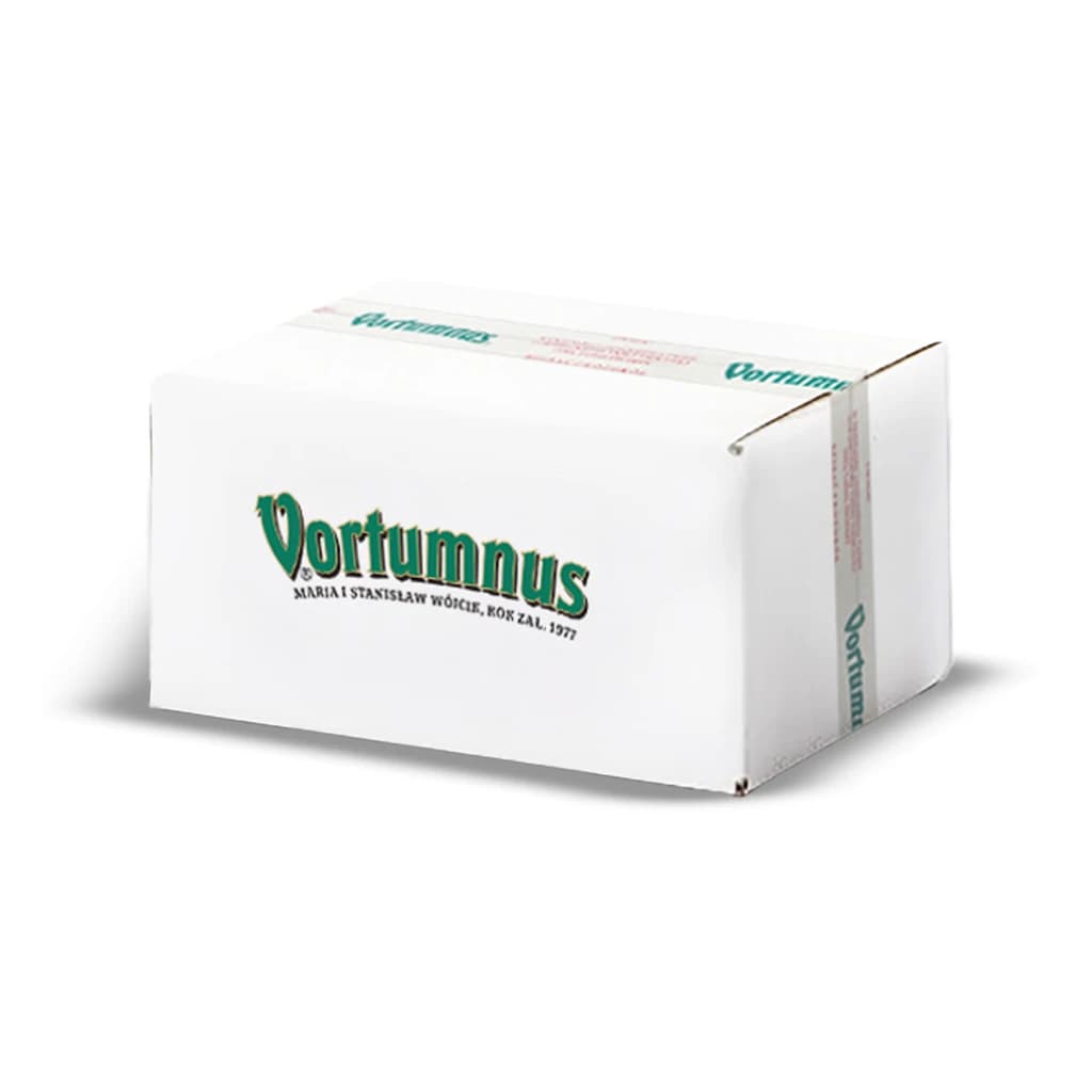 Rich Fruit Mix (Florentine) 10 kg