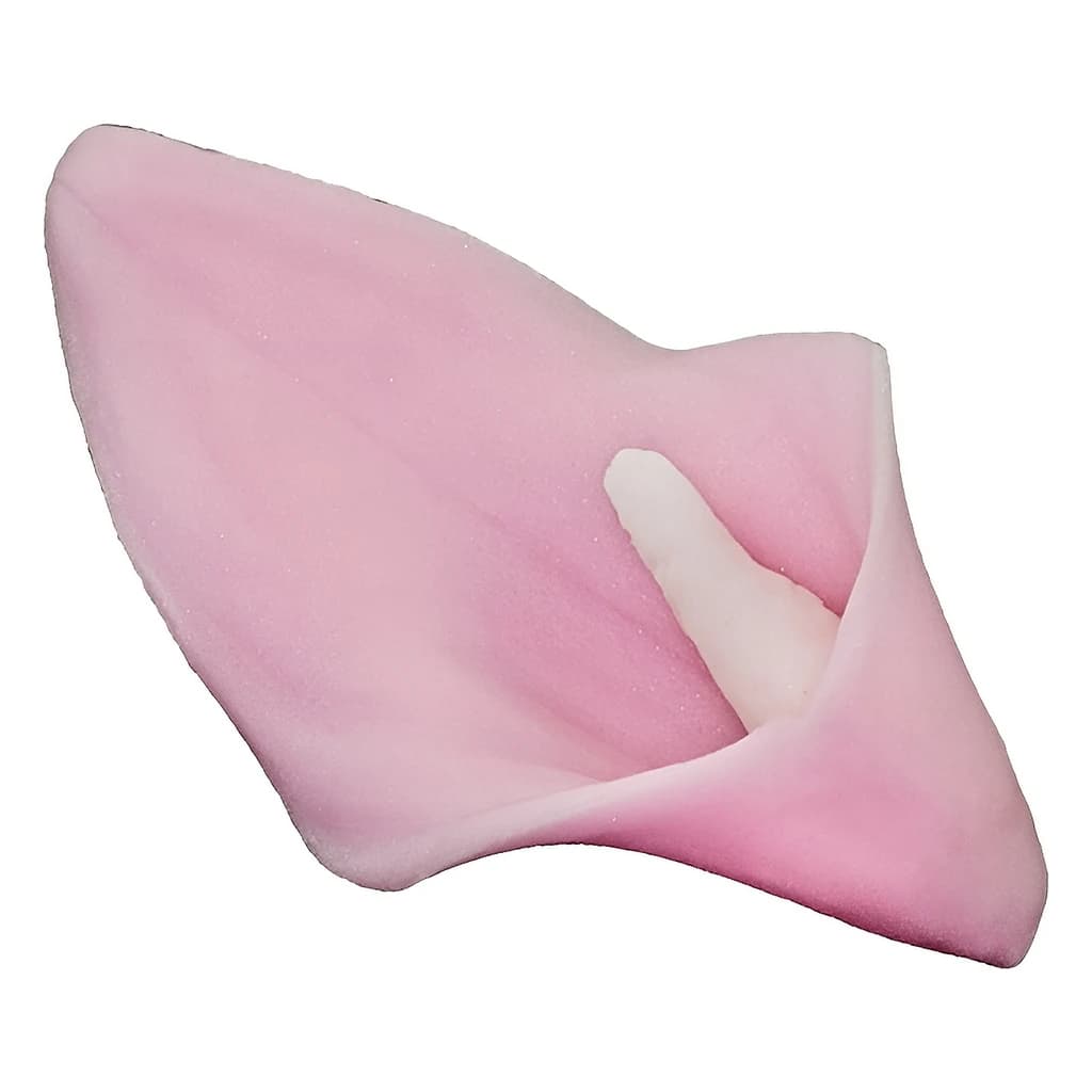 Anthurium 09m Pink 8 cm 20 pc