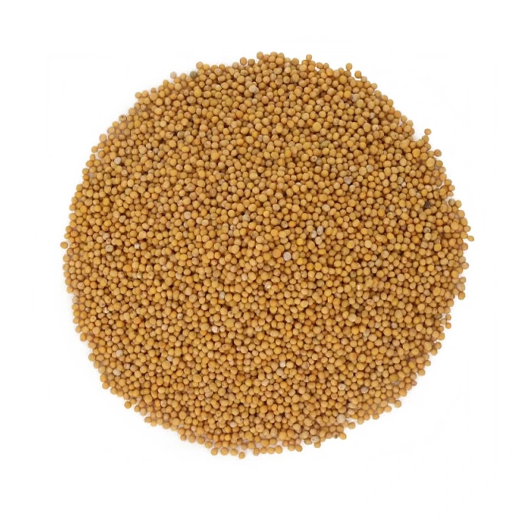 Mustard Seeds White 25 kg