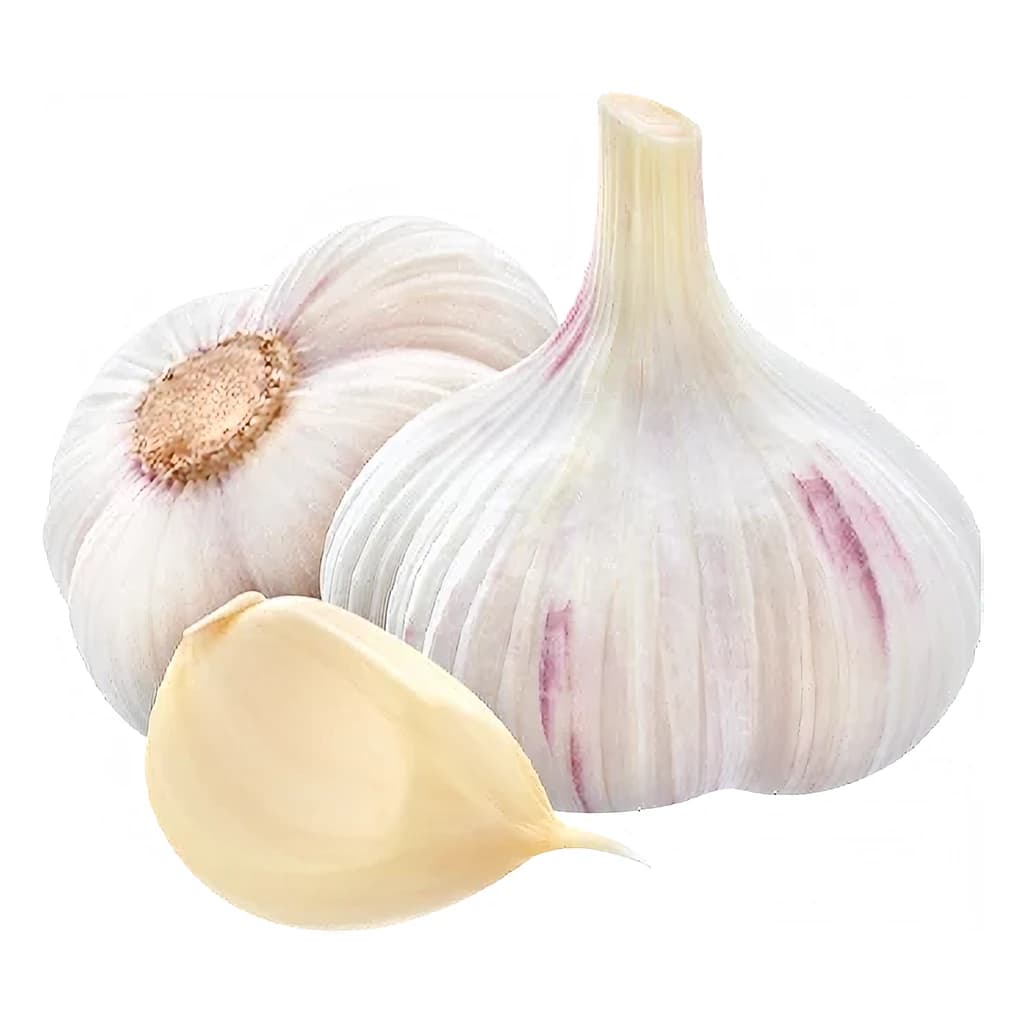 Garlic Powder 25 kg