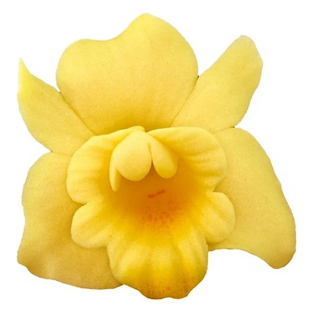 Orchid Small Sapphire (8 pc) 081m