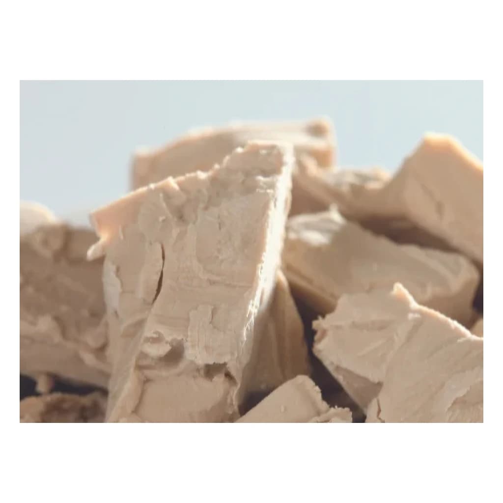 Yeast Traditional 12 kg