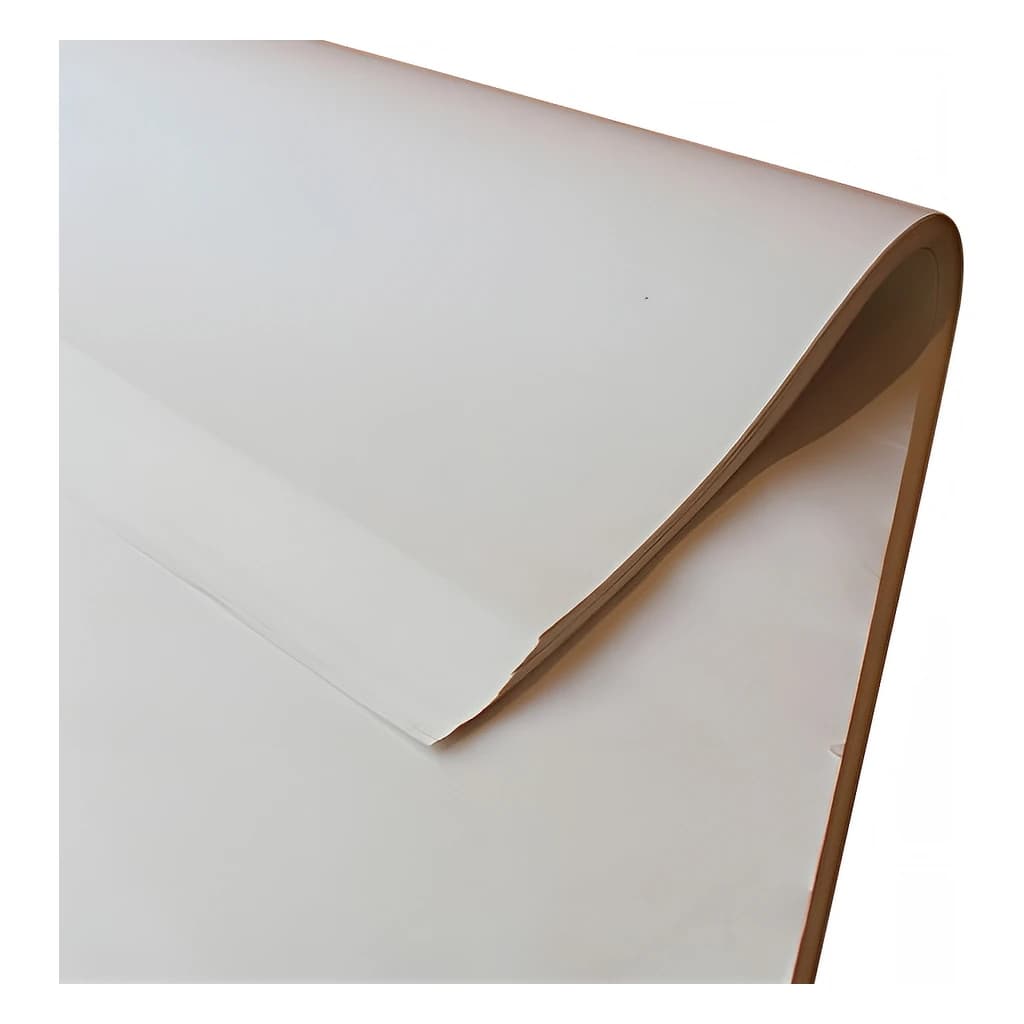 Paper Offcuts 20 x 30 in 10 kg