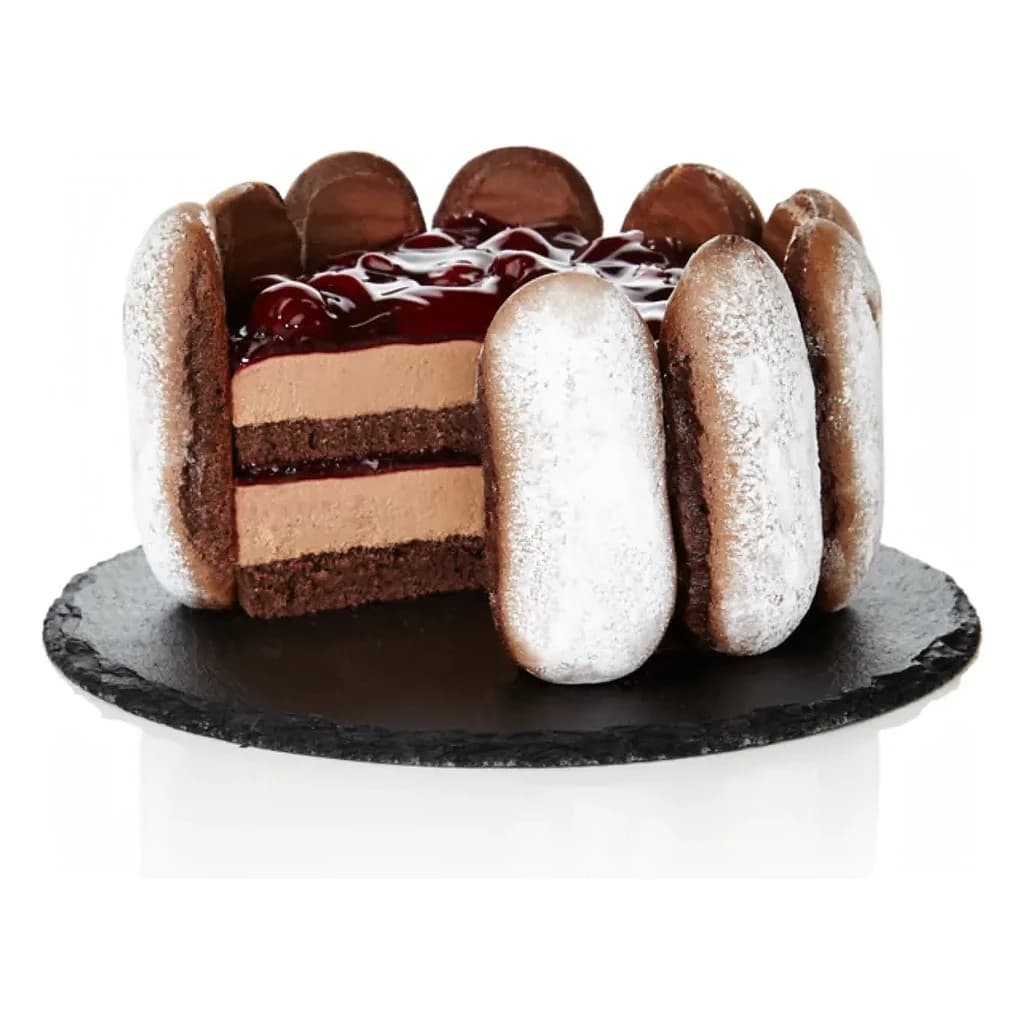 Tegral Chocolate Sponge 12.5 kg
