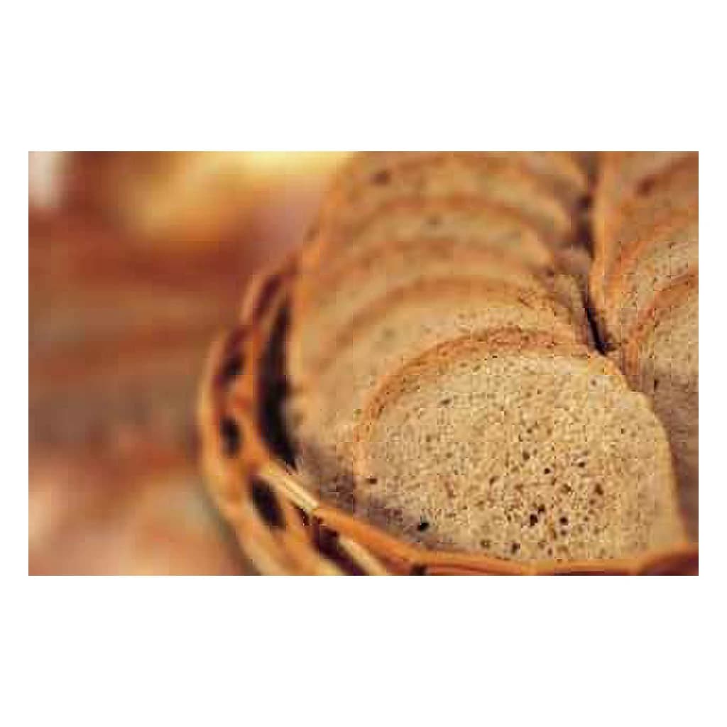 Mould Inhibitor 25 kg