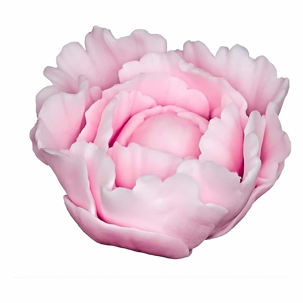 Sugar Peony Flower 5 cm