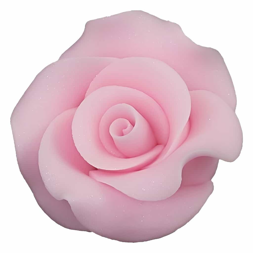 Sugar Rose 6 cm – Pack of 12