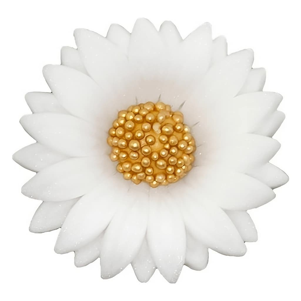 Daisy Double 4.5cm