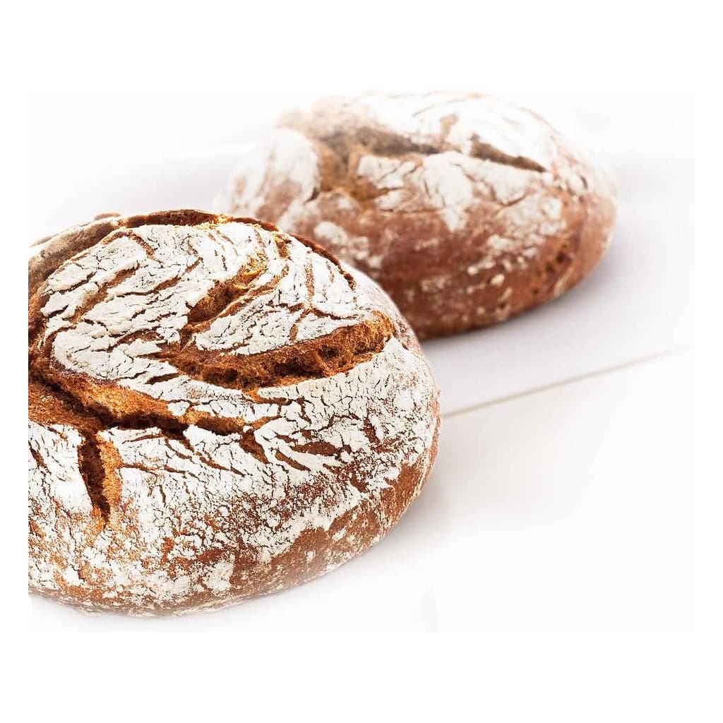 Bas turbo 500 - Sourdough Concentrate 12 kg