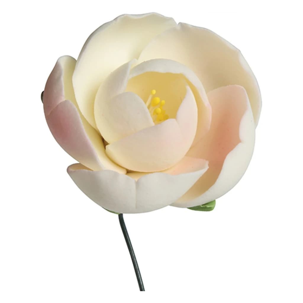 Gumpaste Ranunculus 30 mm 30 pc